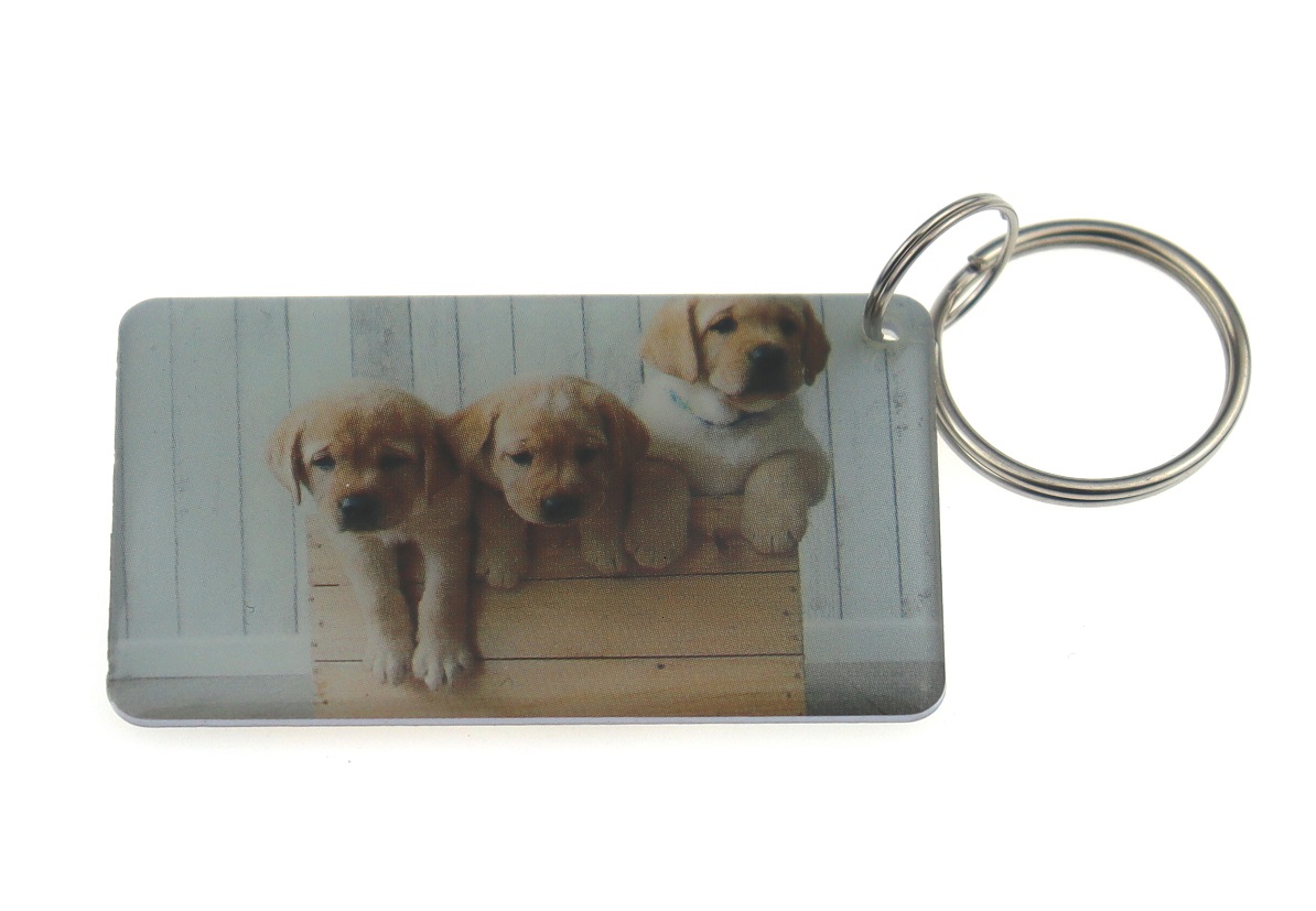 Заготовка RFID (H2) "Собачки 2" брелок