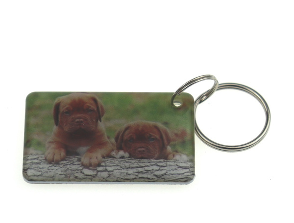 Заготовка RFID (H2) "Собачки" брелок